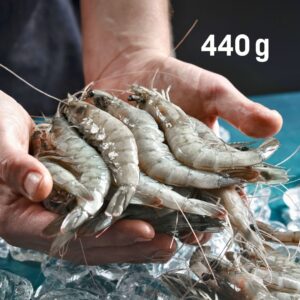 frische hansegarnelen 440 g