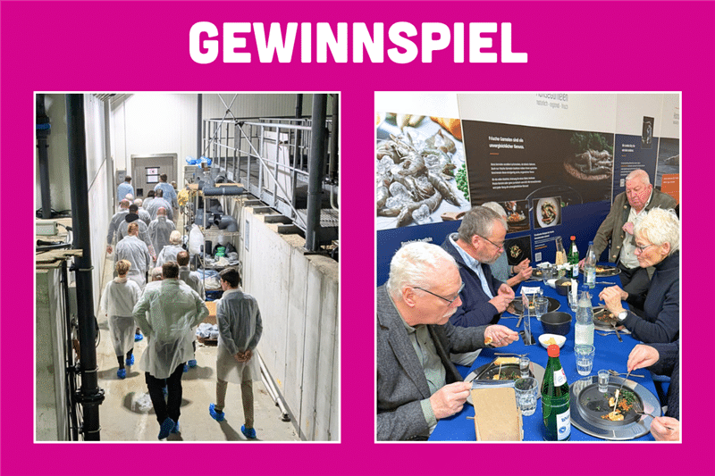 hansegarnelen gewinnspiel 2025 2